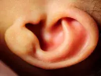 αυτιά oneirokriths