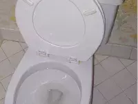ονειροκρίτης τουαλέτα